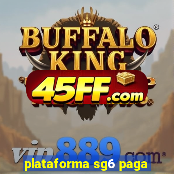 plataforma sg6 paga